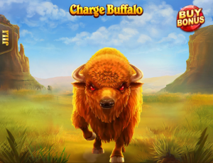 Charge Buffalo插图5