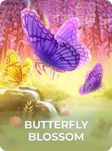 Butterfly Blossom插图5